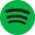 The Spotify Icon